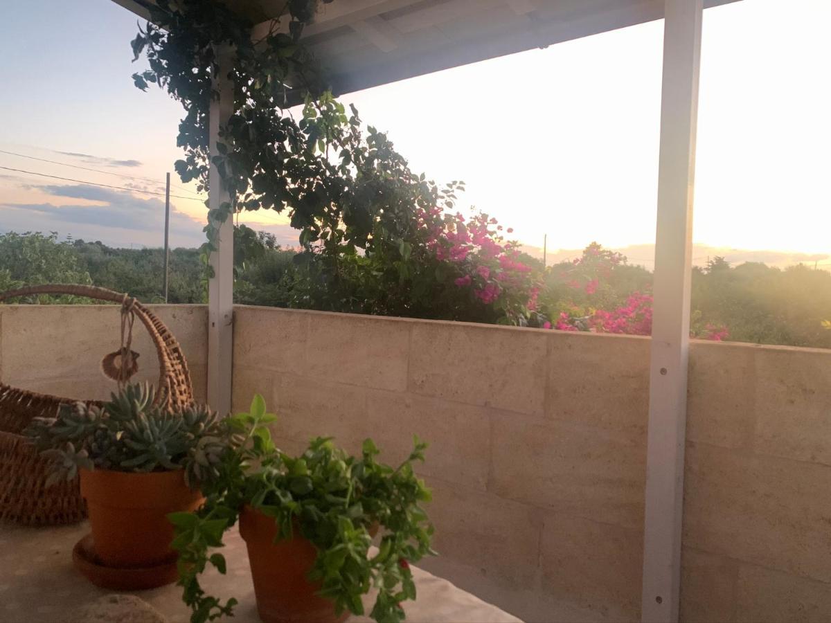 Al Pepe Nero - Casa In Campagna A Soli 5 Minuti Dal Mare 滨海波利尼亚诺 外观 照片